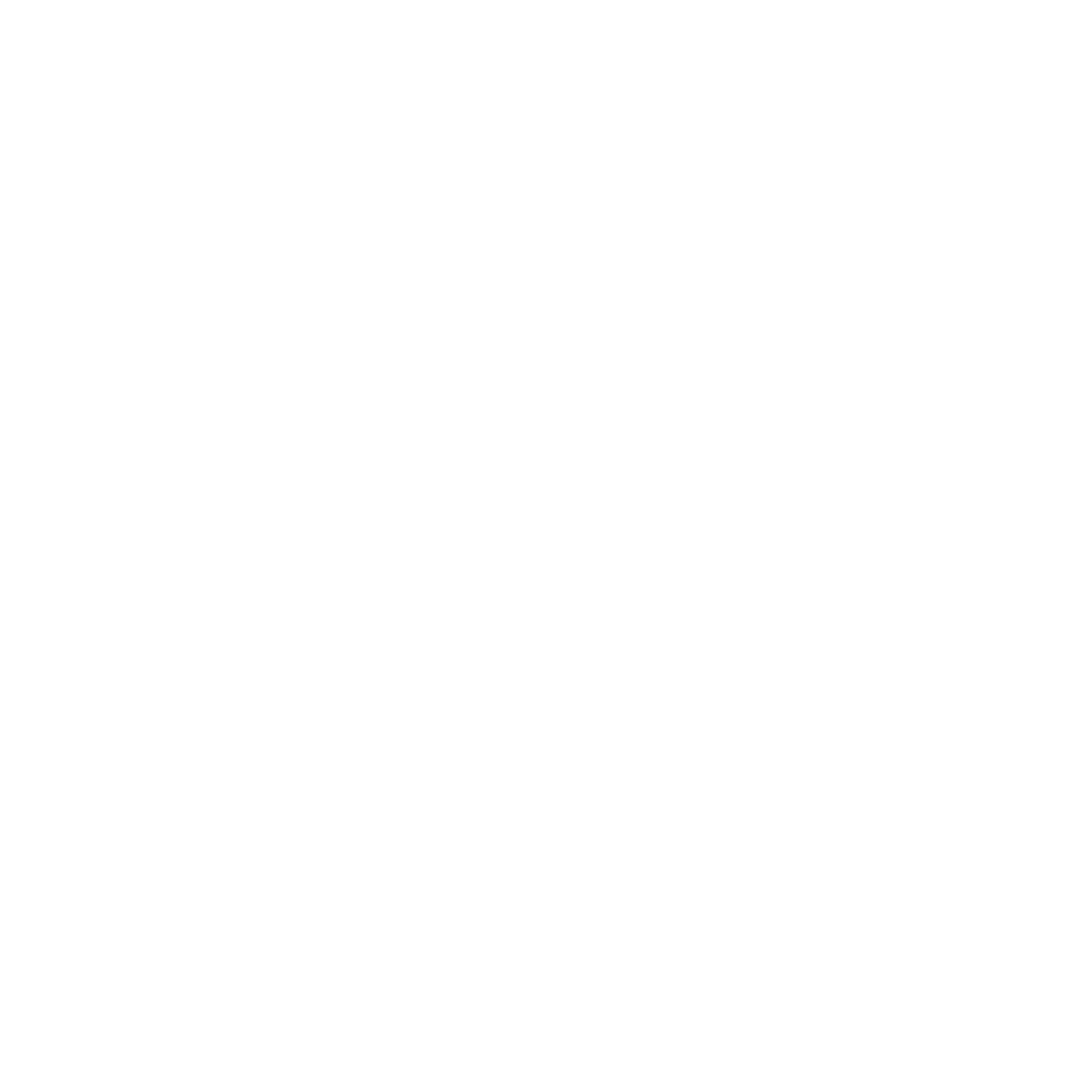 Raunfærnimat