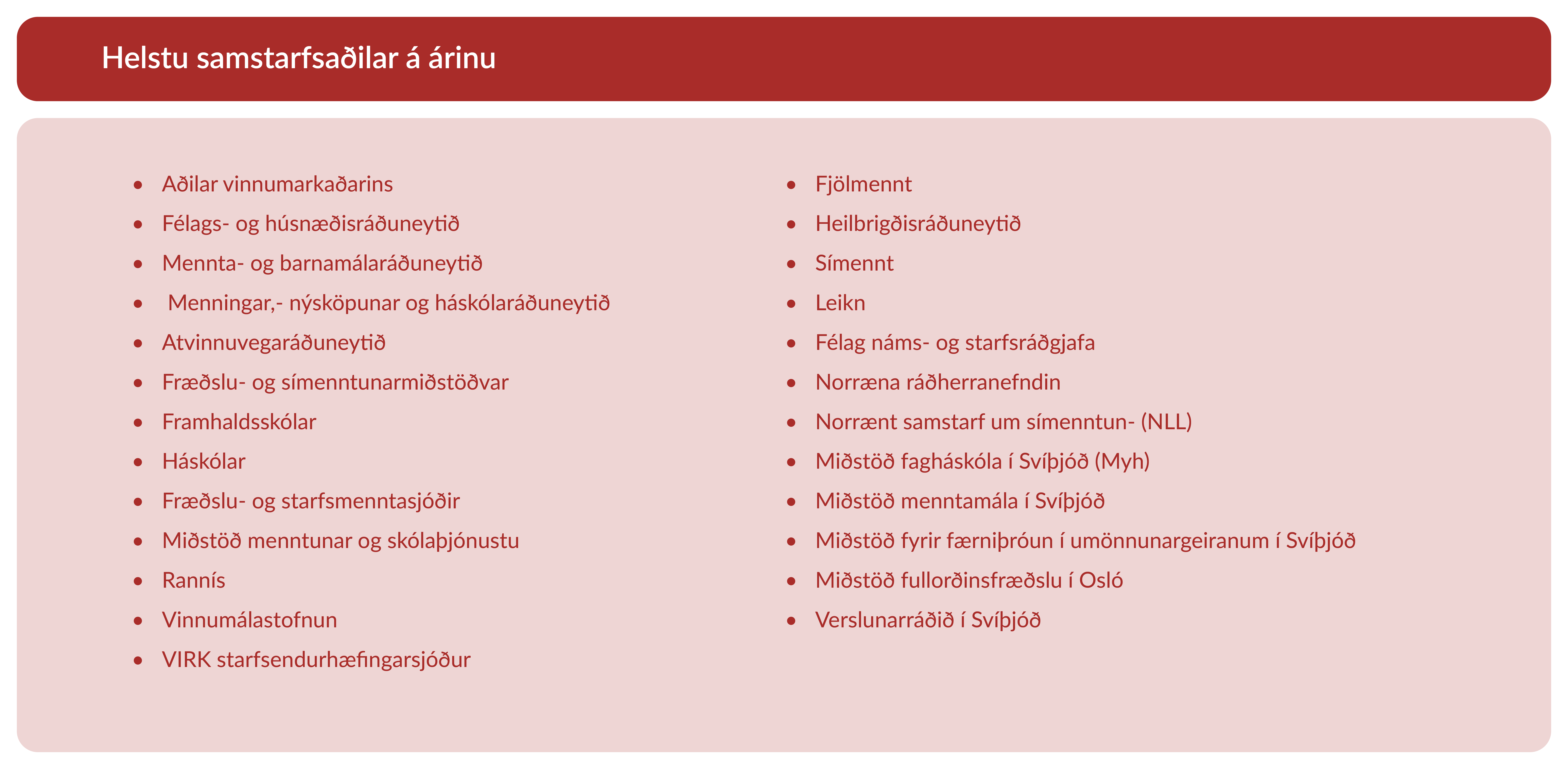 Helstu samstarfsaðilar á árinu
